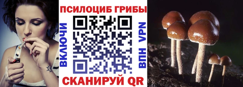 Псилоцибиновые грибы MAGIC MUSHROOMS Томмот